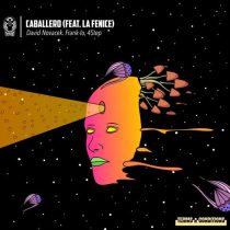 David Novacek, frank-lo, 4Step – Caballero feat. La Fenice