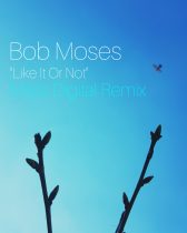Mass Digital – Bob Moses – Like It Or Not (Mass Digital Remix)