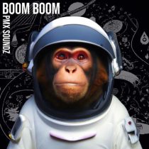 PMX Soundz – Boom Boom