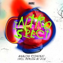 Analog Context – Introspect
