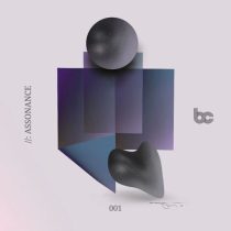 VA – Assonance Various Artists