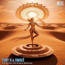 Tony H, Swavé – She Moves the World