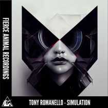 Tony Romanello – Simulation
