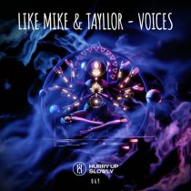 Like Mike & Tayllor – Voices