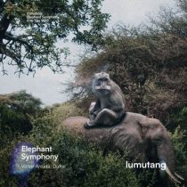 Victor Arruda, Dutra – Elephant Symphony