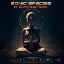 Sonic Species, Divination – Feels Like Home