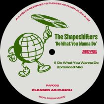 The Shapeshifters – Do What You Wanna Do