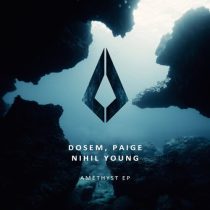 Nihil Young, Paige, Dosem – Amethyst