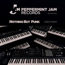 Nothing But Funk – Don’t Deny