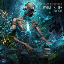 Volcano, Sonic Species – What Is Life (Ikøn Remix)