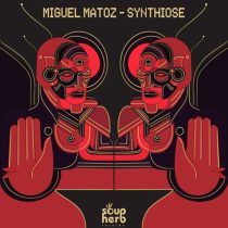 Miguel Matoz – Synthiose