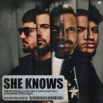 David Guetta, Akon, Afro Bros, Dimitri Vegas & Like Mike – She Knows (Extended Mix)