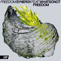 Synergy, What So Not – Freedom – feat. What So Not