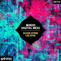 Digital Mess & Mindo – Silver Stone / Calypso