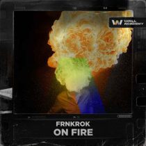 FRNKROK – On Fire (Extended Mix)