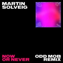 Martin Solveig & Faouzia – Now Or Never (Odd Mob Extended Mix)