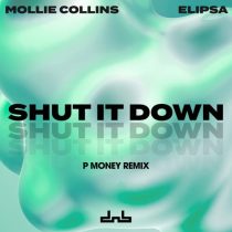 Mollie Collins & Elipsa – Shut It Down (P Money Remix)