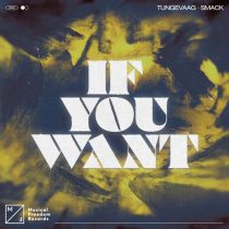 SMACK & Tungevaag – If You Want (Extended Mix)