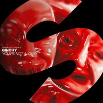 Ginchy – You’re Not Alone (Extended Mix)