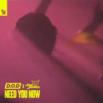 D.O.D & Jax Jones – Need You Now – Acapella