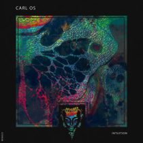 Carl OS – Intuition