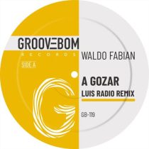 Waldo Fabian – A Gozar (Luis Radio Remix)