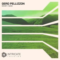 Gero Pellizzon – What I Said