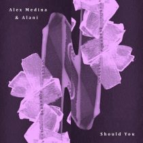 Alani, Alex Medina – Should You / Broken Window