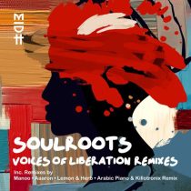 Soulroots – Voices of Liberation Remixes