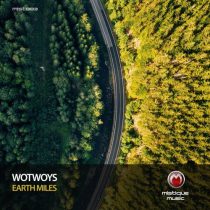 Wotwoys – Earth Miles