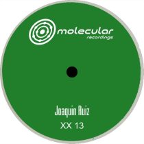 Joaquin Ruiz – XX 13
