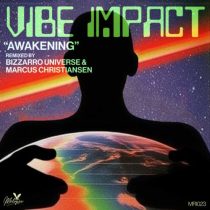 Vibe Impact – Awakening