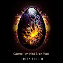 Ertan Koculu – Cause I’m Not Like You