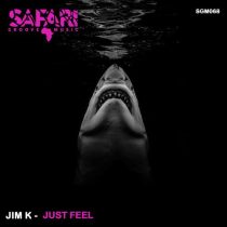 Jim K – Just Feel