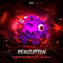 Perception – Different Way