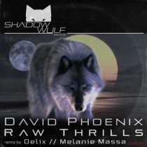 David Phoenix – Raw Thrills