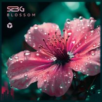 Seb-G – Blossom