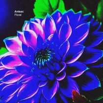 Anteac – Floral