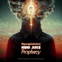 Dr. Strangefunk, Quantaloop – Squangetabulous Mind Juice Prophecy