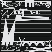 Roisin Murphy – What Not To Do (Moodymann Remix)