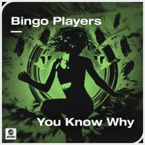 Bingo Players – You Know Why (Extended Mix)