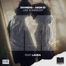 Ason ID, Diviners & Laura Warshauer – Like Somebody feat. Laura Warshauer [Extended Mix]