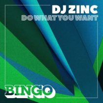 DJ Zinc – Do What You Want