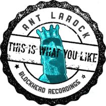 Ant LaRock – This Is What You Like