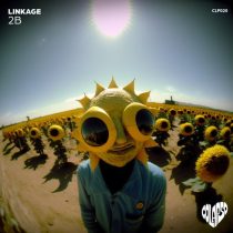 Linkage – 2B