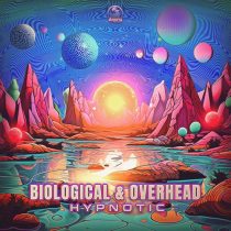 Overhead (PSY), Biological (BR) – Hypnotic