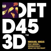 Miguel Migs & Meshell Ndegeocello – What Do You Want