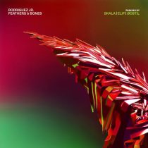 Rodriguez Jr. – Feathers & Bones Remixes