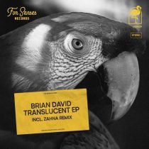 Brian David – Translucent