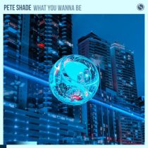 Pete Shade – What You Wanna Be (Extended Mix)